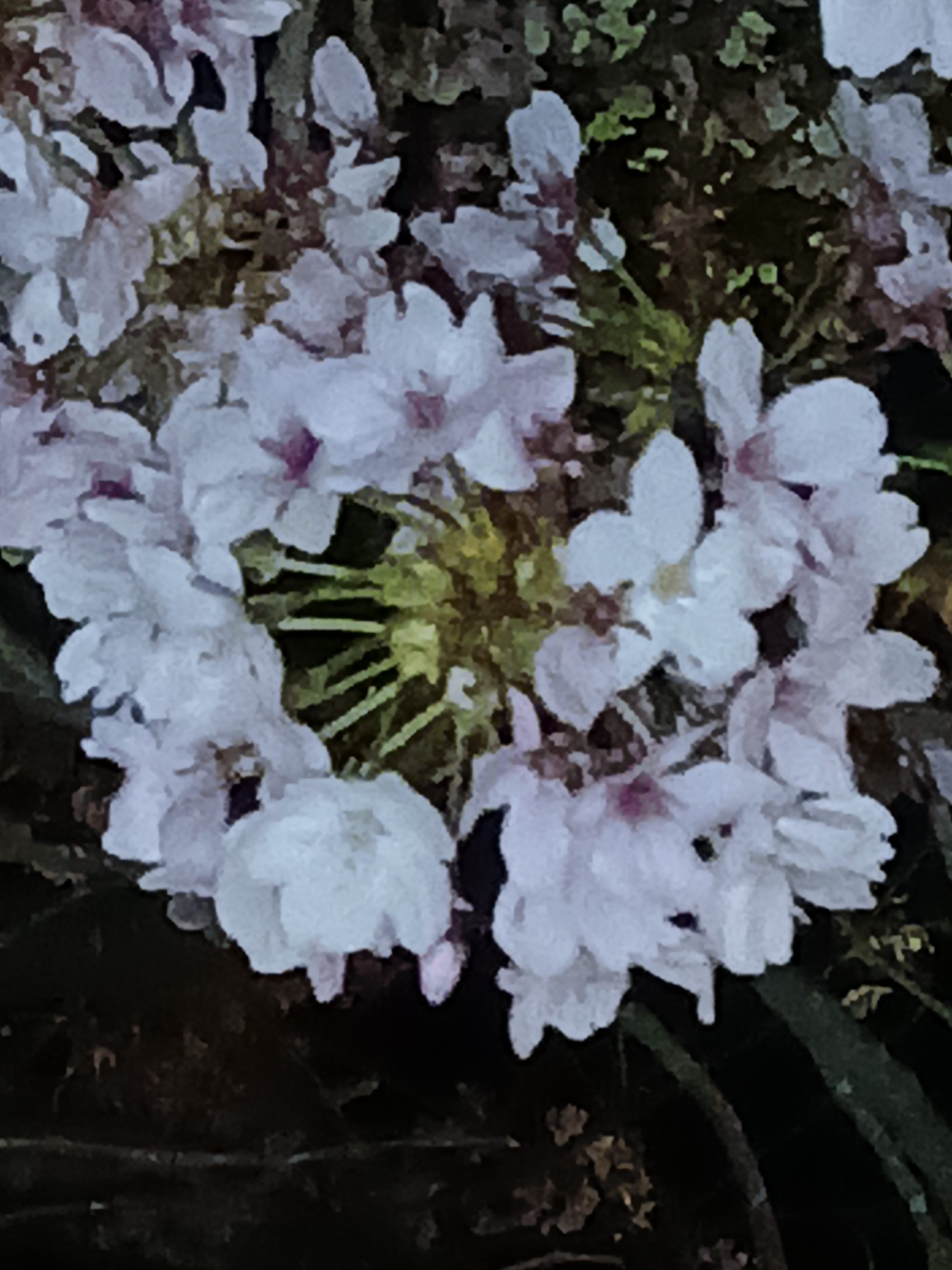 常にバージョンアップしないと。