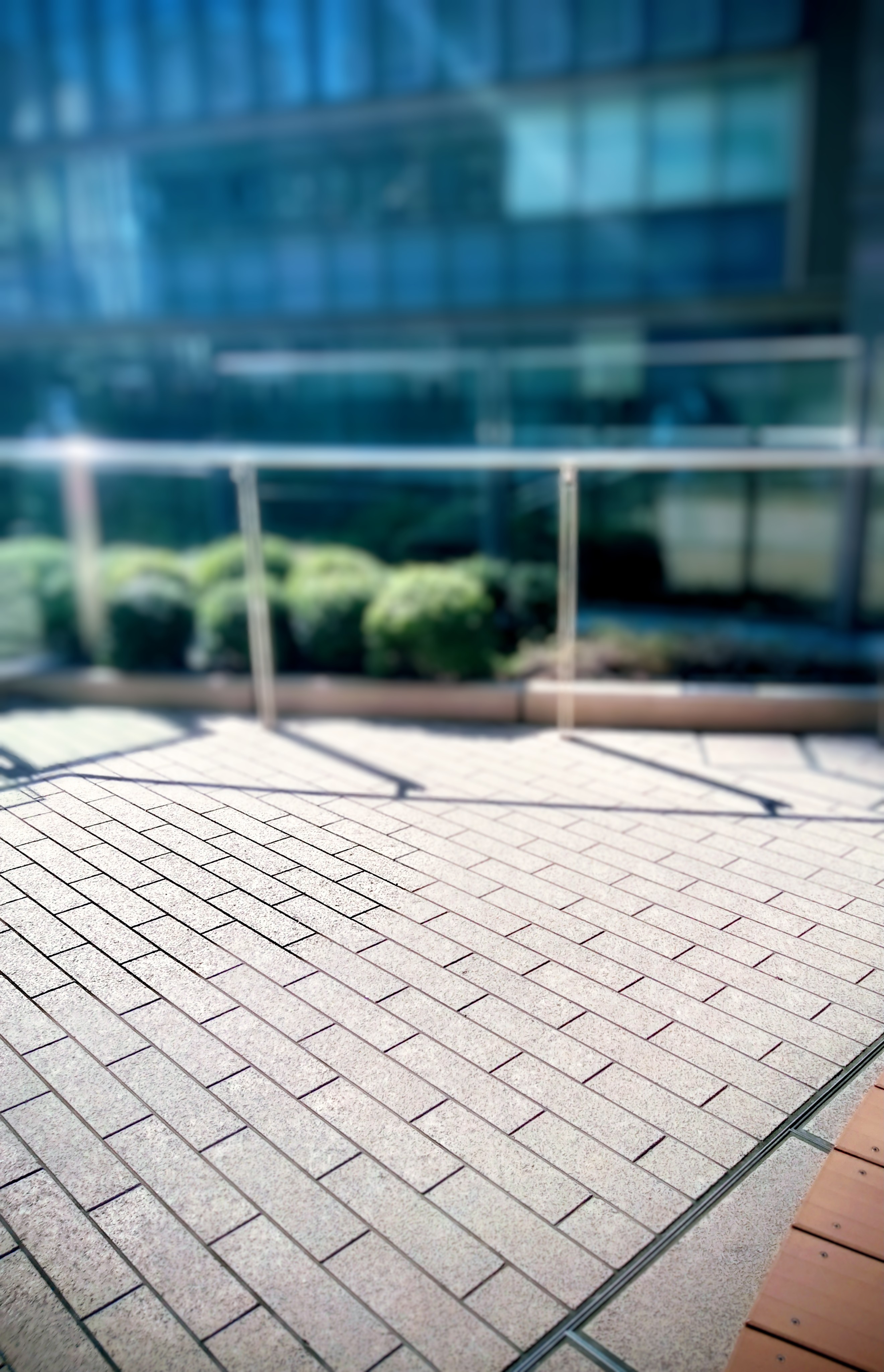 子供の頃だからこそ…